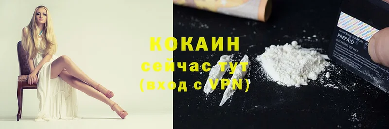 COCAIN Fish Scale  Саров 